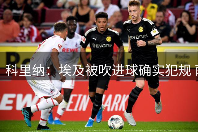 科里纳：埃及被吹进球确实犯规 萨拉赫倒地正常接触